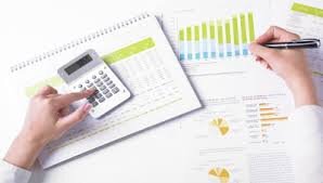 Audit Partner - Audit financiar