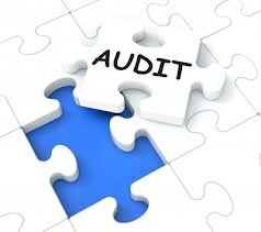 Audit Partner - Audit financiar
